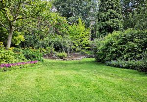 Optimiser l'expérience du jardin à Castelnau-Magnoac